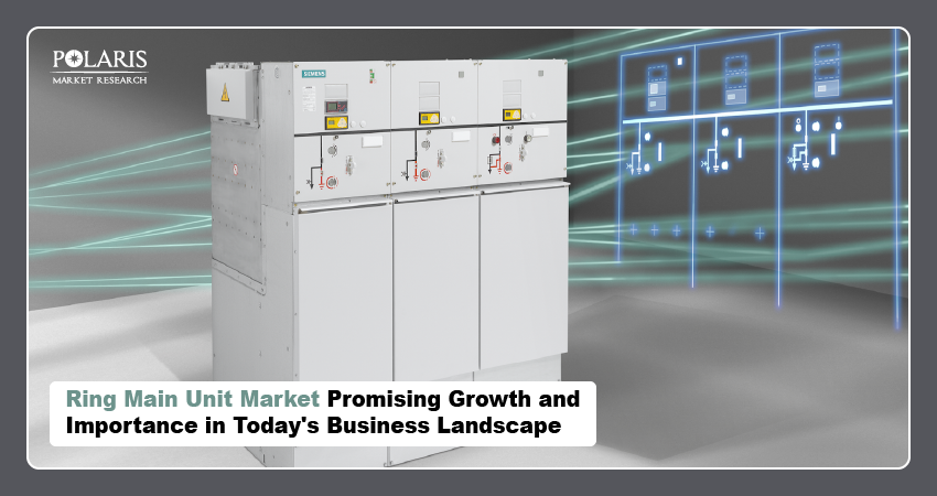 Ring Main Unit Market Promising Growth and Importance in Today's Business Landscape